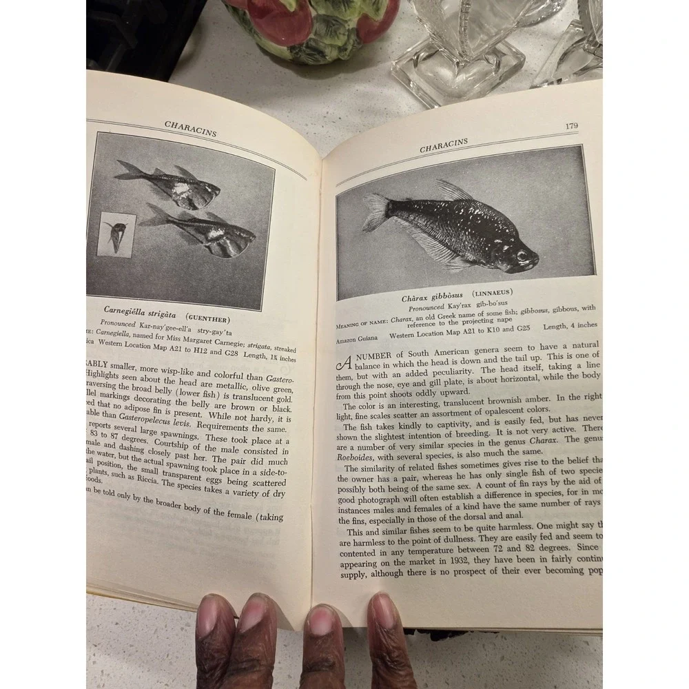 N/A product hardcover